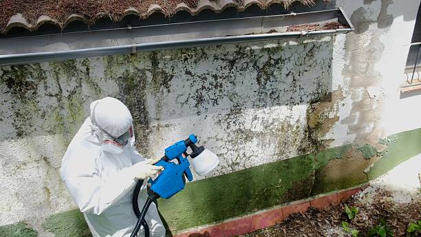 Top rated local Mold Remediation specialists in Alexandria, KY